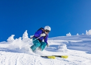 九游体育APP下载-范弗利特关键战不手软，老鹰啄穿灰熊的钢铁防线